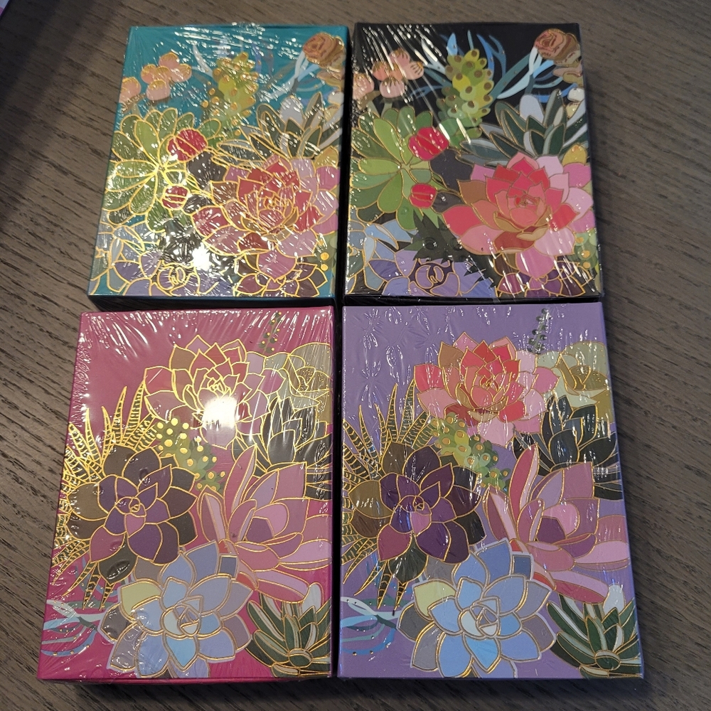 NIB Assorted Paradise Succulent Match Set